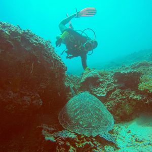 DCIM103GOPROGOPR9857.